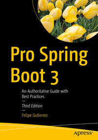 Vorderes Coverbild Pro Spring Boot 3