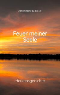 Vorderes Coverbild Feuer meiner Seele