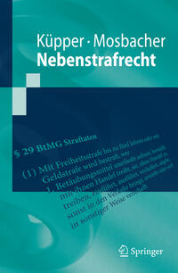 Vorderes Coverbild Nebenstrafrecht