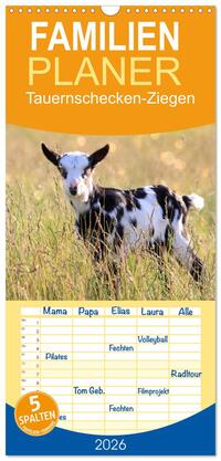 Vorderes Coverbild Familienplaner 2026 - Tauernschecken-Ziegen mit 5 Spalten (Wandkalender, 21 x 45 cm) CALVENDO