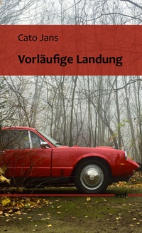 Vorderes Coverbild Vorläufige Landung