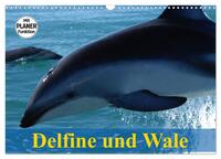 Vorderes Coverbild Delfine und Wale (Wandkalender 2025 DIN A3 quer), CALVENDO Monatskalender
