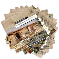 Vorderes Coverbild Karolingische Klosterstadt Meßkirch - Chronik 2013-2025