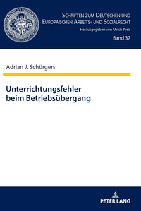 Vorderes Coverbild Unterrichtungsfehler beim Betriebsübergang