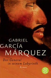 Vorderes Coverbild Der General in seinem Labyrinth