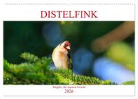 Vorderes Coverbild Distelfink (Wandkalender 2026 DIN A2 quer), CALVENDO Monatskalender