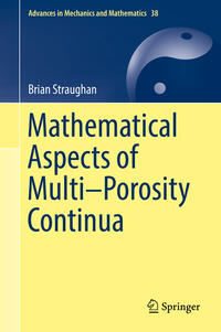 Vorderes Coverbild Mathematical Aspects of Multi–Porosity Continua