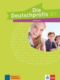 Vorderes Coverbild Die Deutschprofis B1