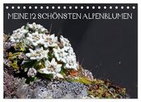 Vorderes Coverbild Meine 12 schönsten Alpenblumen (Tischkalender 2025 DIN A5 quer), CALVENDO Monatskalender