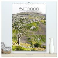 Vorderes Coverbild Pyrenäen - Spanien und Frankreich (hochwertiger Premium Wandkalender 2026 DIN A2 hoch), Kunstdruck in Hochglanz