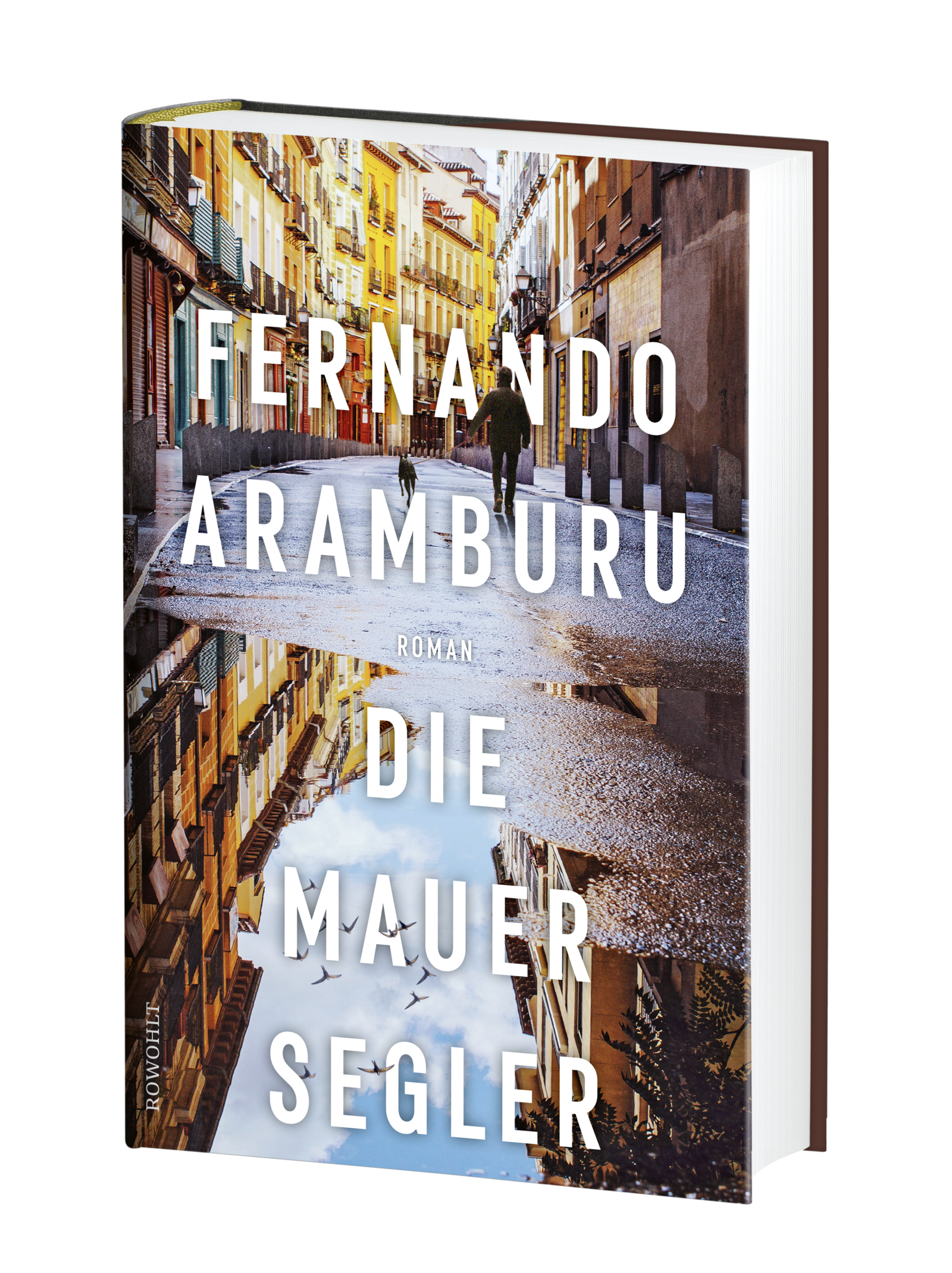 Anderes Coverbild Die Mauersegler