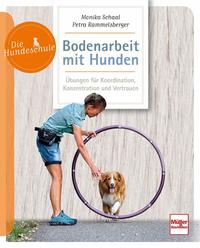 Vorderes Coverbild Bodenarbeit mit Hunden
