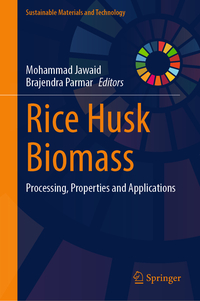 Vorderes Coverbild Rice Husk Biomass