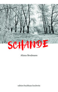 Vorderes Coverbild Schande