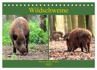 Vorderes Coverbild Wildschweine - Tiere aus unseren Wäldern (Tischkalender 2025 DIN A5 quer), CALVENDO Monatskalender
