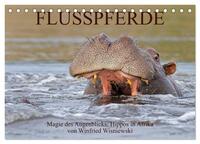 Vorderes Coverbild Flusspferde Magie des Augenblicks - Hippos in Afrika (Tischkalender 2025 DIN A5 quer), CALVENDO Monatskalender