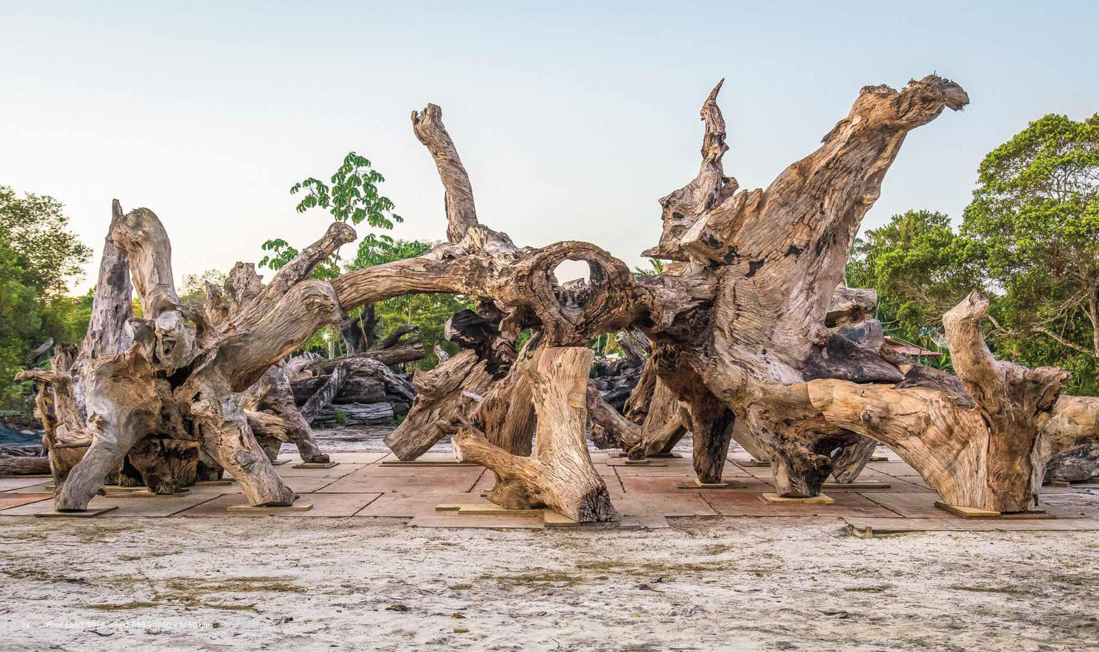 Beispielinhalt (Bild) Roots