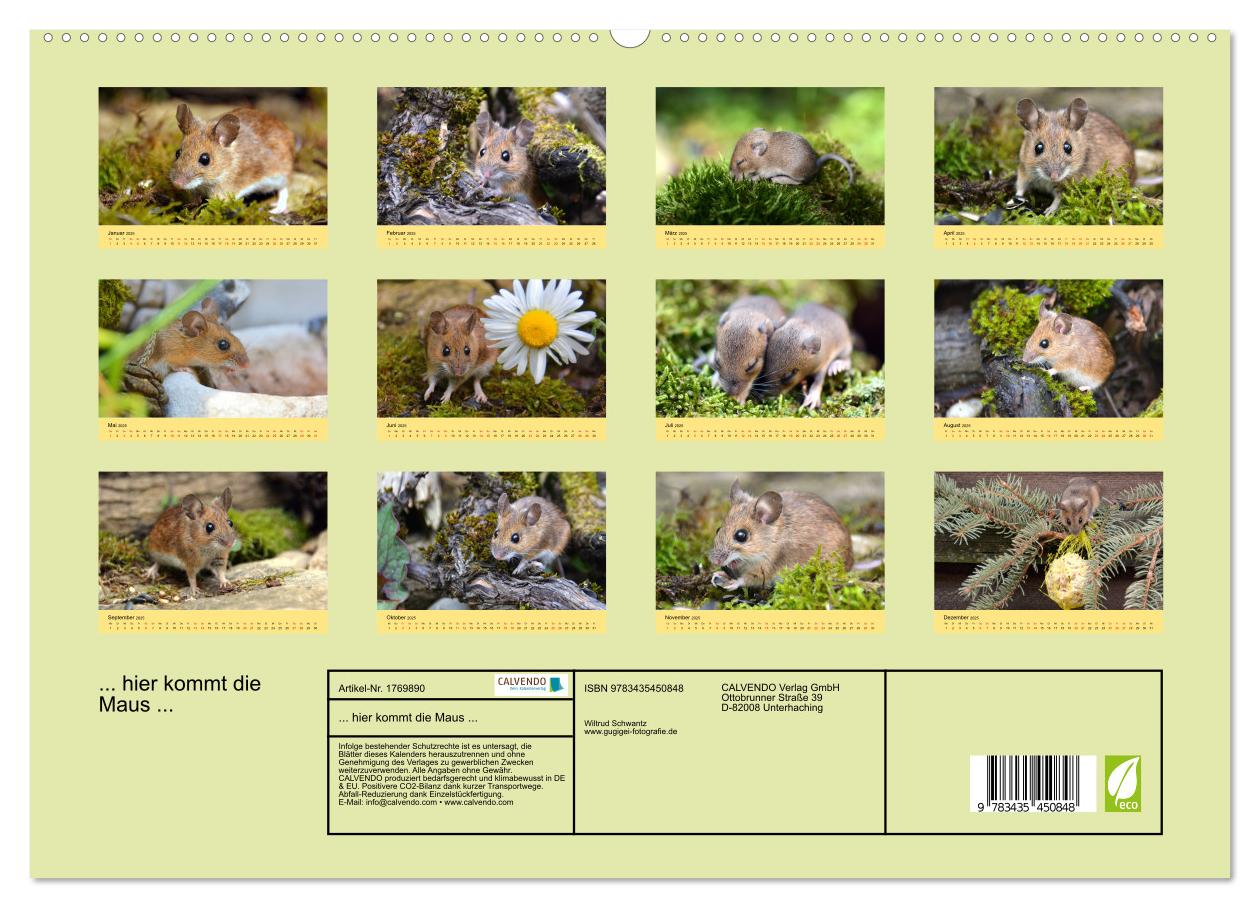 Beispielinhalt (Bild) ... hier kommt die Maus ... (hochwertiger Premium Wandkalender 2025 DIN A2 quer), Kunstdruck in Hochglanz