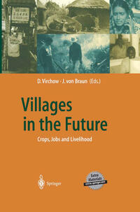 Vorderes Coverbild Villages in the Future