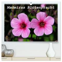 Vorderes Coverbild Madeiras Blütenpracht (hochwertiger Premium Wandkalender 2025 DIN A2 quer), Kunstdruck in Hochglanz
