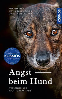 Vorderes Coverbild Angst beim Hund