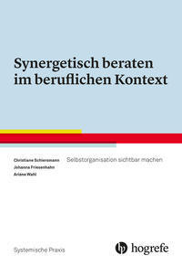 Vorderes Coverbild Synergetisch beraten im beruflichen Kontext