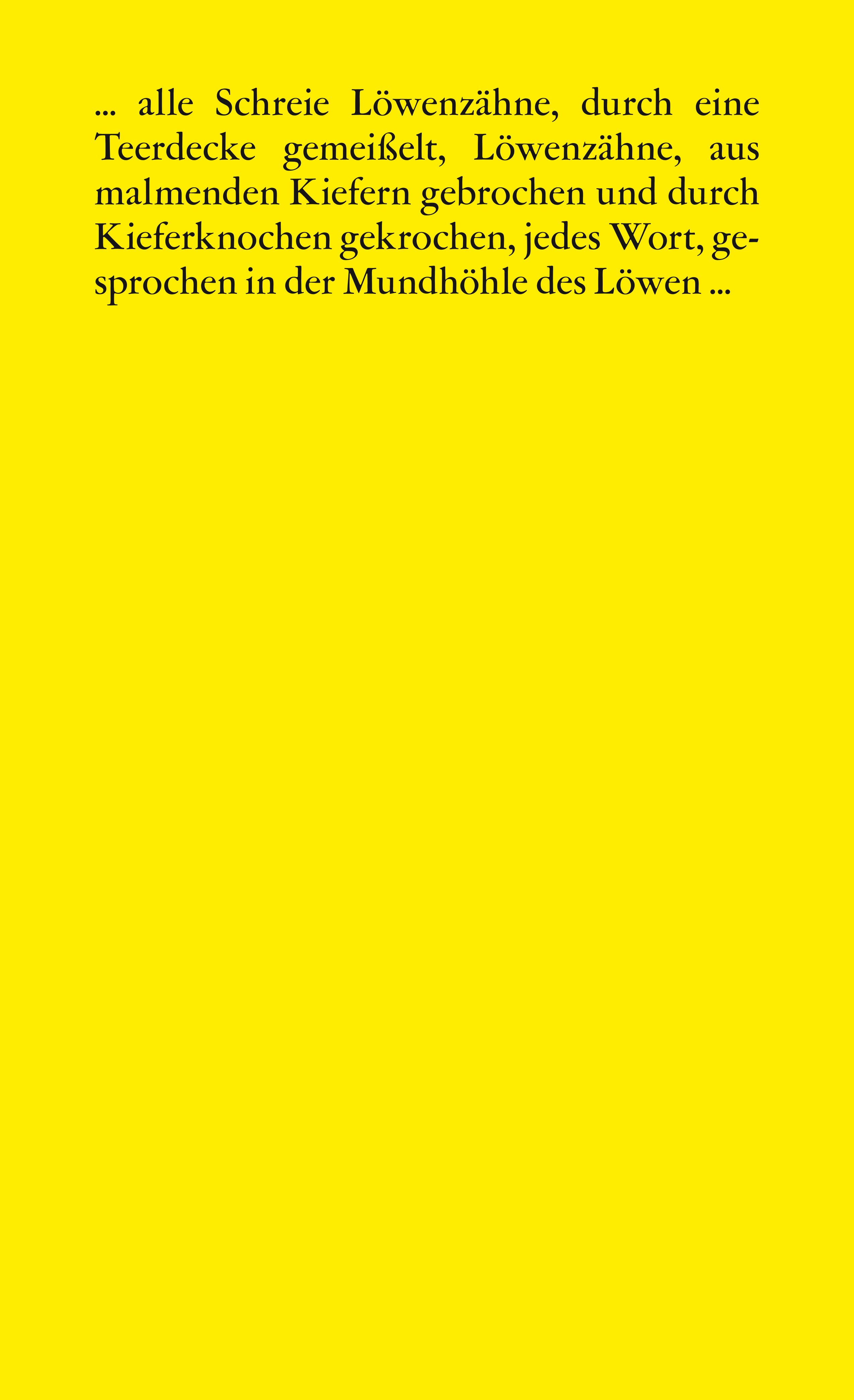 Rückseitencover Steinbruch