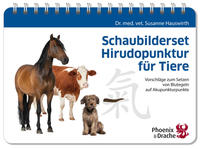 Vorderes Coverbild Schaubilderset Hirudopunktur für Tiere, Schweizer Ausgabe