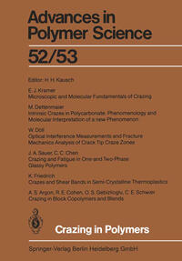 Vorderes Coverbild Crazing in Polymers