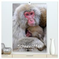 Vorderes Coverbild Schneeaffen im Portträt (hochwertiger Premium Wandkalender 2025 DIN A2 hoch), Kunstdruck in Hochglanz