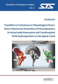 Vorderes Coverbild Transition to Turbulence in Physiological Flows: Direct Numerical Simulation of Hemodynamics in Intracranial Aneurysms and Cerebrospinal Fluid Hydrodynamics in the Spinal Canal