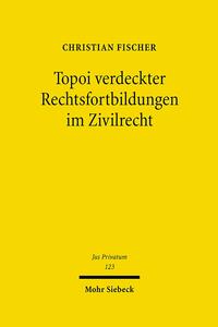 Vorderes Coverbild Topoi verdeckter Rechtsfortbildungen im Zivilrecht