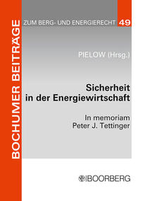 Vorderes Coverbild Sicherheit in der Energiewirtschaft