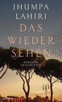Vorderes Coverbild Das Wiedersehen
