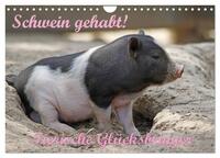 Vorderes Coverbild Schwein gehabt! (Wandkalender 2026 DIN A4 quer), CALVENDO Monatskalender