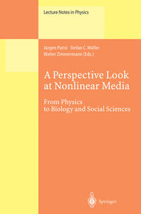 Vorderes Coverbild A Perspective Look at Nonlinear Media