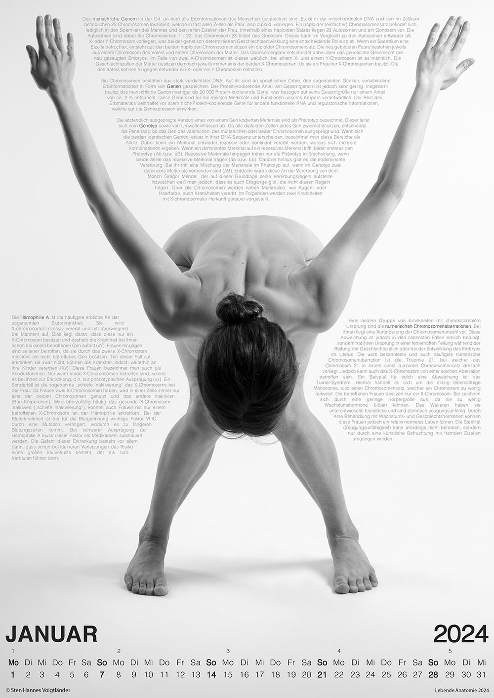 Werbematerial (Bild) Lebende Anatomie 2024