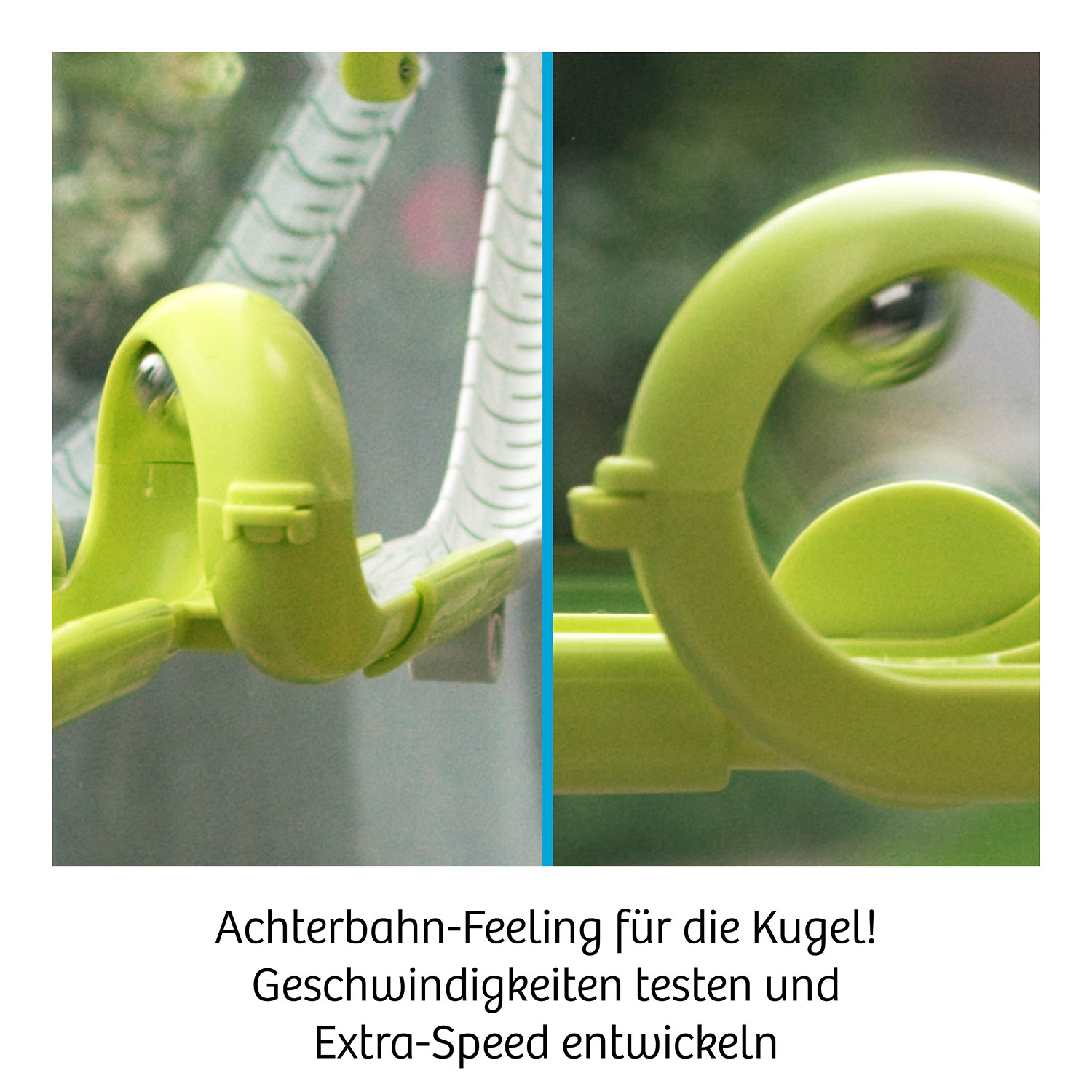 Beispielinhalt (Bild) Gecko Run Looping-Erweiterung