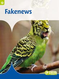 Vorderes Coverbild Fakenews