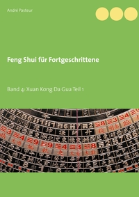 Vorderes Coverbild Feng Shui für Fortgeschrittene