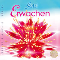 Vorderes Coverbild JETZT ERWACHEN