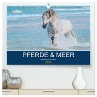 Vorderes Coverbild PFERDE & MEER (hochwertiger Premium Wandkalender 2025 DIN A2 quer), Kunstdruck in Hochglanz
