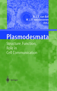 Vorderes Coverbild Plasmodesmata