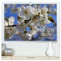 Vorderes Coverbild Kirschblüte rund um Witzenhausen (hochwertiger Premium Wandkalender 2025 DIN A2 quer), Kunstdruck in Hochglanz