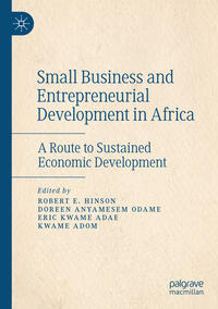 Vorderes Coverbild Small Business and Entrepreneurial Development in Africa