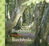Vorderes Coverbild Buchholz meets Buchholz