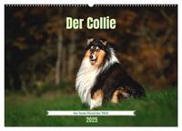 Vorderes Coverbild Der Collie der beste Hund der Welt (Wandkalender 2025 DIN A2 quer), CALVENDO Monatskalender