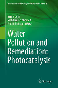 Vorderes Coverbild Water Pollution and Remediation: Photocatalysis