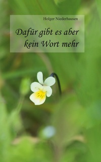 Vorderes Coverbild Dafür gibt es aber kein Wort mehr
