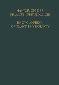 Vorderes Coverbild Pflanze und Wasser / Water Relations of Plants